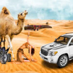 About The Desert Safari & Packages